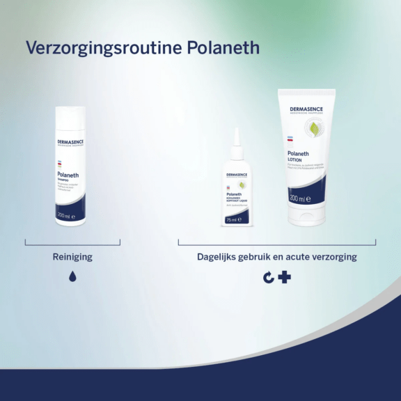 Dermasence Polaneth Shampoo - routine