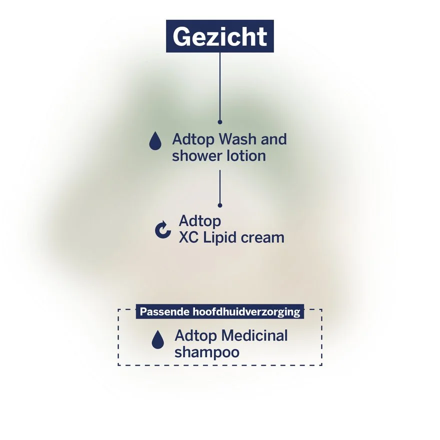 Adtop Gezicht stroomschema