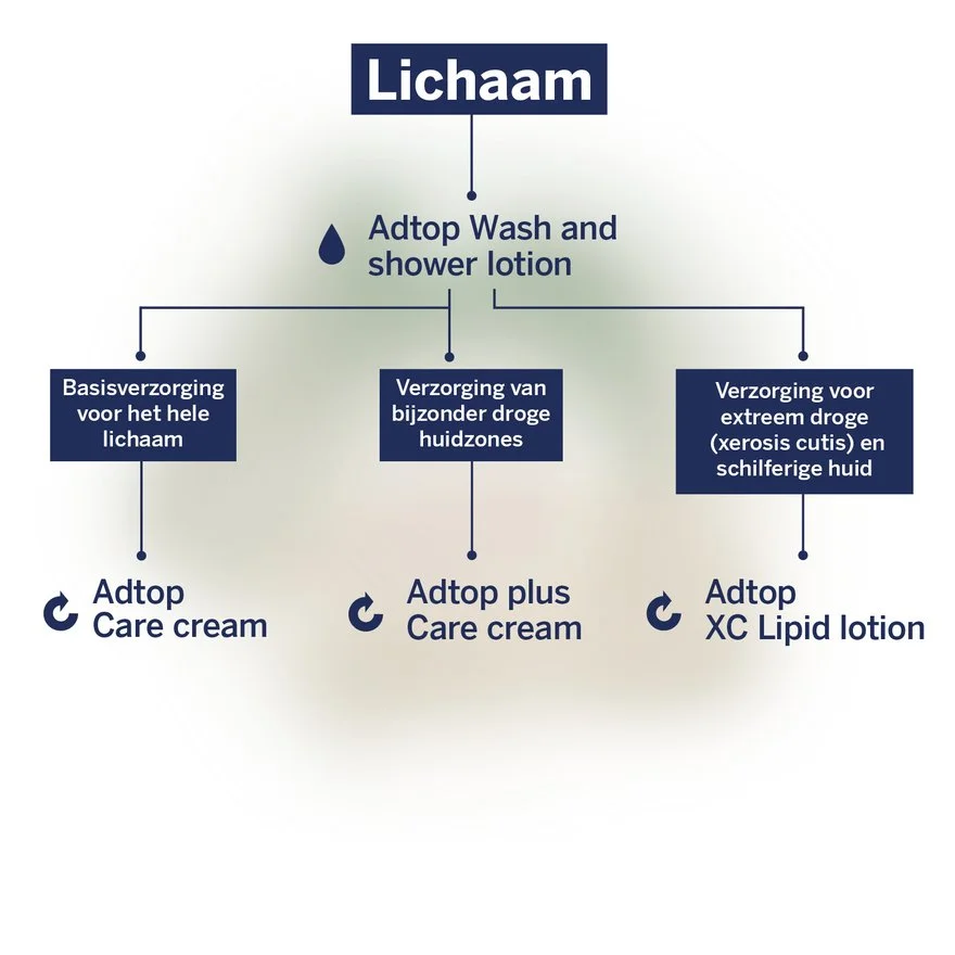 Adtop Lichaam stroomschema