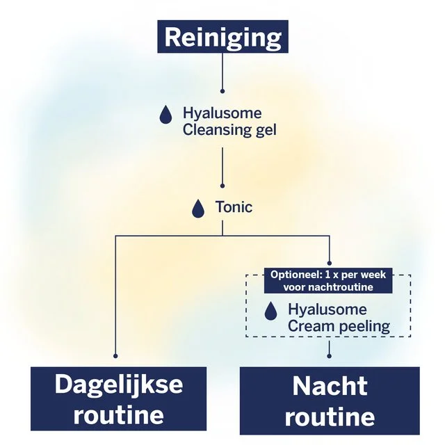 Hyalusome Reiniging stroomschema