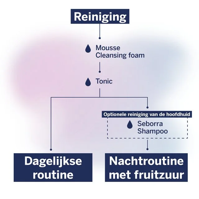 Seborra Reiniging stroomschema