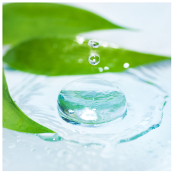 Een waterdruppel die in helder water valt, omringd door groene bladeren, symboliseert de frisheid en natuurlijke essentie van DermaQuest Essentials.