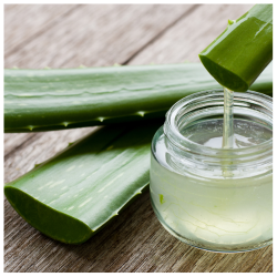 Transparante glazen potje gevuld met aloe vera sap, met stukken verse aloe vera verspreid op een houten tafel. Aloe vera staat bekend om zijn lichte, niet-vette hydraterende eigenschappen en geeft een verfrissend gevoel.